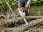 TRONÇONNEUSE À BATTERIE STIHL MSA 220 C – Image 4