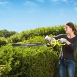 Taille-haie électrique RYOBI RHT8165RL – 800 W, lame 65 cm – Image 2