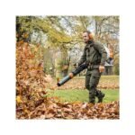 Souffleur à dos BR800 C-E STIHL – Image 3