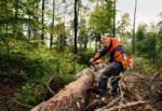 Tronçonneuse thermique STIHL MS 362 C-M VW – Image 3